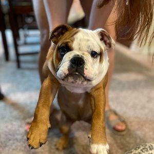 Meet your Posher, Christina